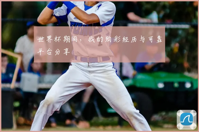 世界杯期间，我的购彩经历与可靠平台分享